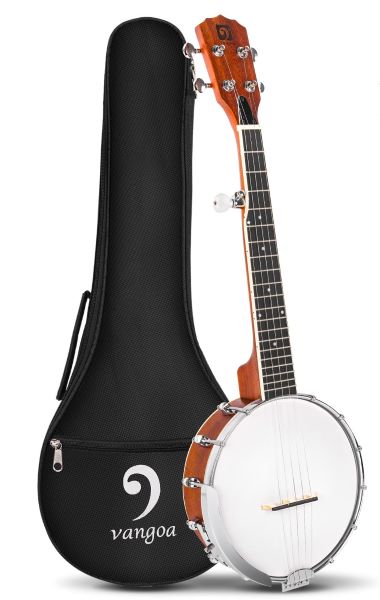 Meilleur banjo 6 cordes debutant