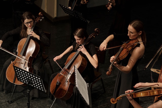 support violoncelle