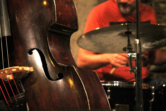 Acheter contrebasse pour jazz