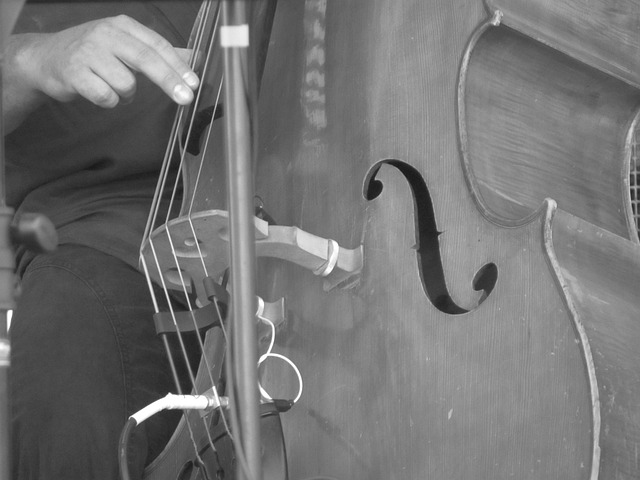 Jouer contrebasse pour jazz