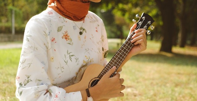Mecanique de guitare folk