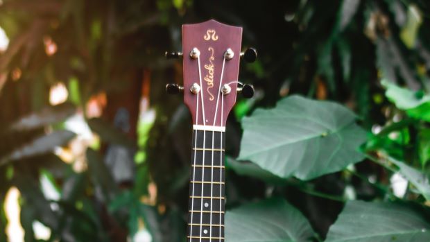 resserrer mecanique guitare folk