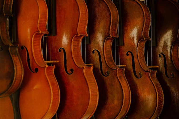 Atelier de Lutherie Luca Laulhere