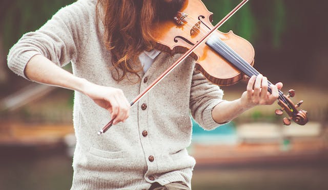 Avis instrument musique violon
