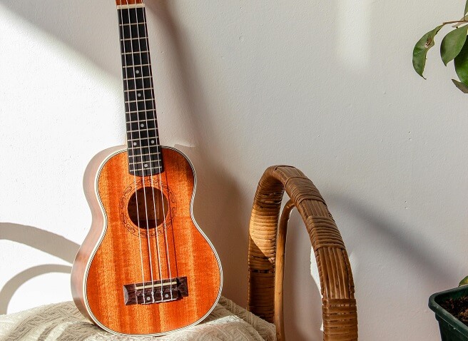 Avis instrument ukelele tenor