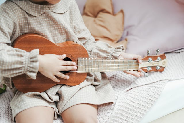 Avis ukulele baryton