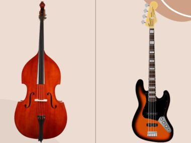 Basse vs contrebasse