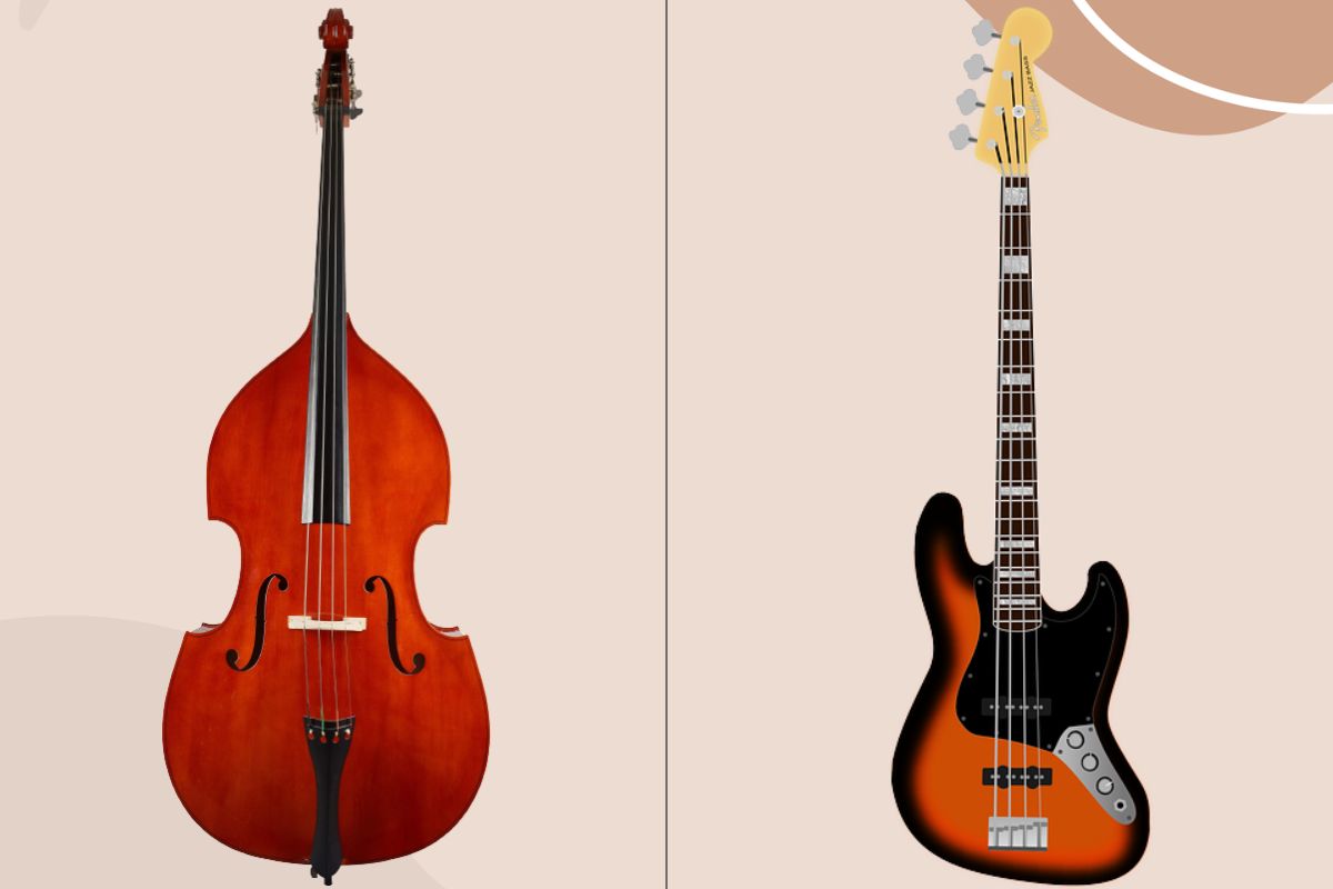 Basse vs contrebasse