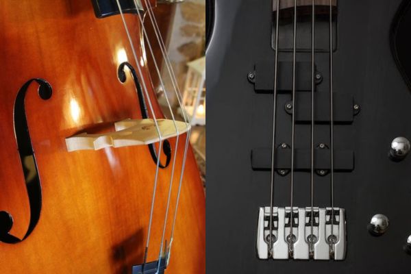 Cordes guitare basse vs contrebasse