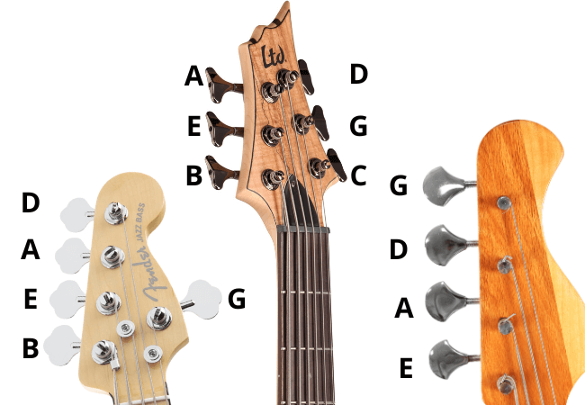 Notes cordes guitare bass