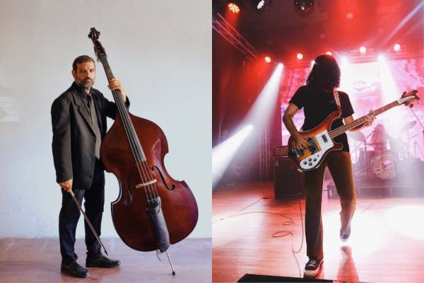 Portabilité guitare basse vs contrebasse