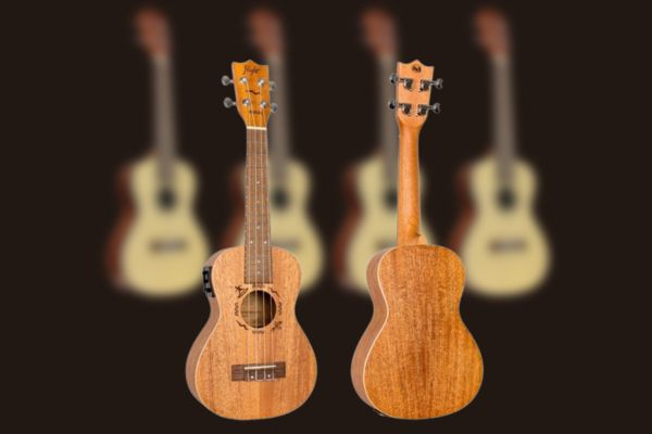 Presentation Ukulele concert