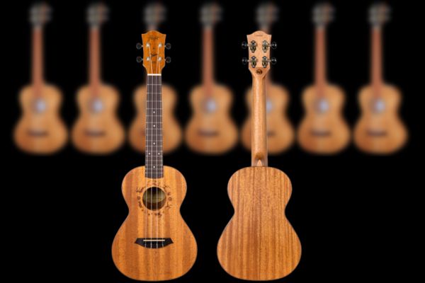 Presentation Ukulele tenor