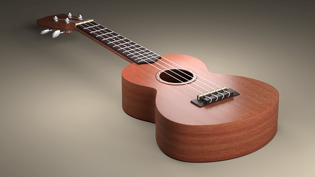 Presentation ukulele baryton