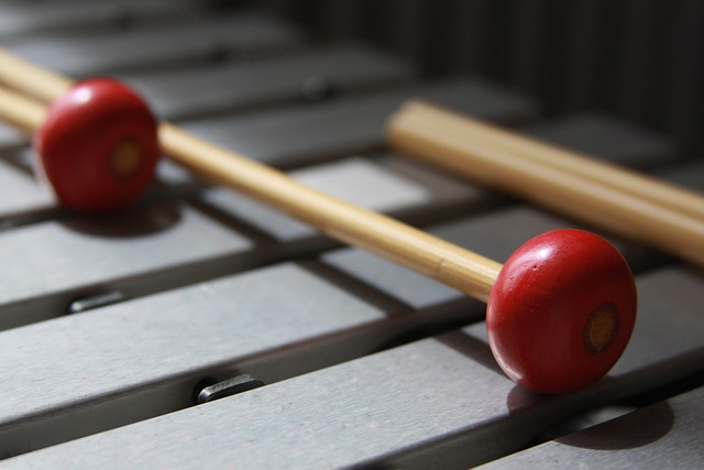 Repertoire musicale glockenspiel vs xylophone