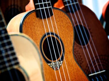 Ukulele tenor vs baryton