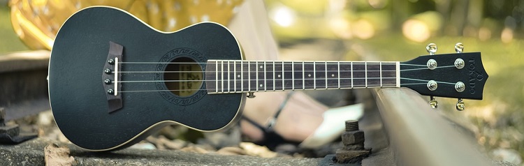 avantages-ukulele-concert