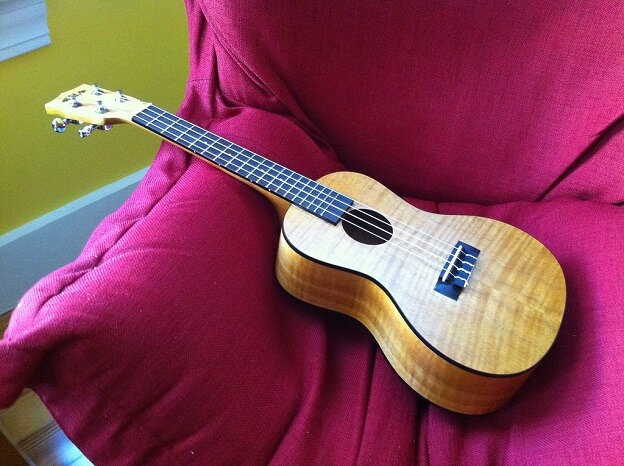 avis ukulele concert