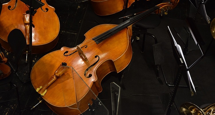 bois-utilise-fabrication-violoncelle-contrebasse