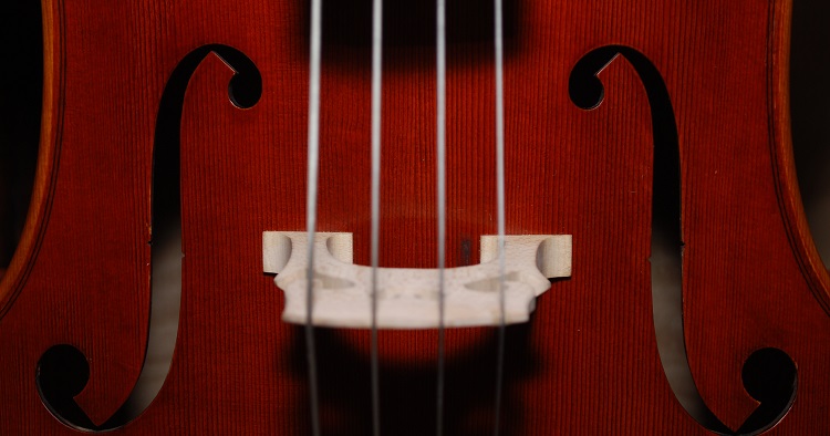 difference-cordes-violoncelle-contrebasse