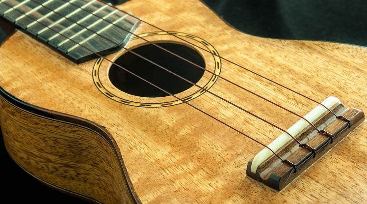 differences-esthetiques-entre-ukuleles-soprano-concert