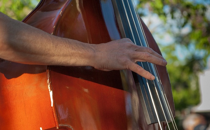 quel-registre-musical-contrebasse