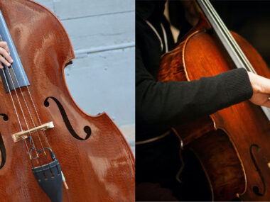 violoncelle-vs-contrebasse